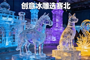 南京冰雕公司哪家好?賽北冰雕五大核心優勢詳解 南京冰雕公司哪家好?賽北冰雕五大核心優勢詳解