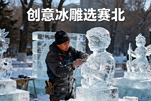 冰雕展價格解析:賽北冰雕為您揭秘成本構成 冰雕展價格解析:賽北冰雕為您揭秘成本構成